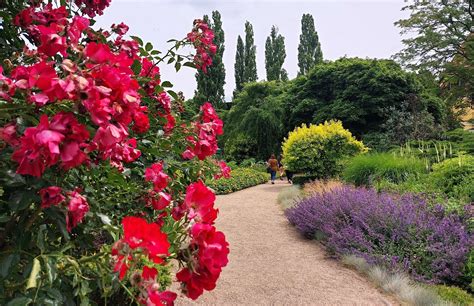 Ogrod Botaniczny Usuli - Zielona Oaza W Sercu Warri!